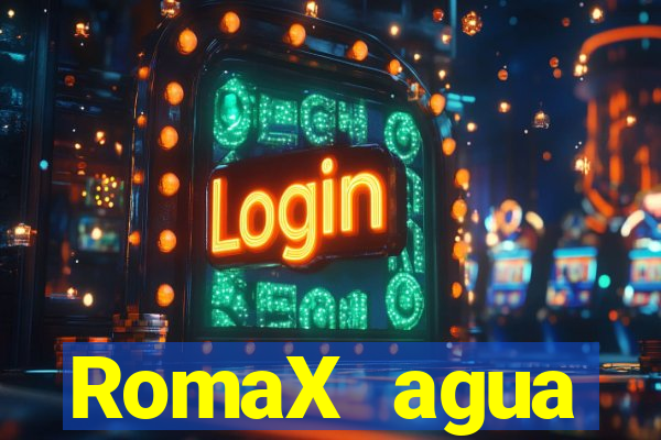 RomaX agua sanitaria fispq agua sanitaria romax